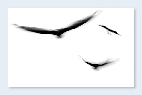 Fleeting Gestures - Setanta Books