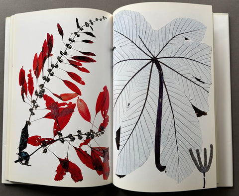 Flora - Setanta Books