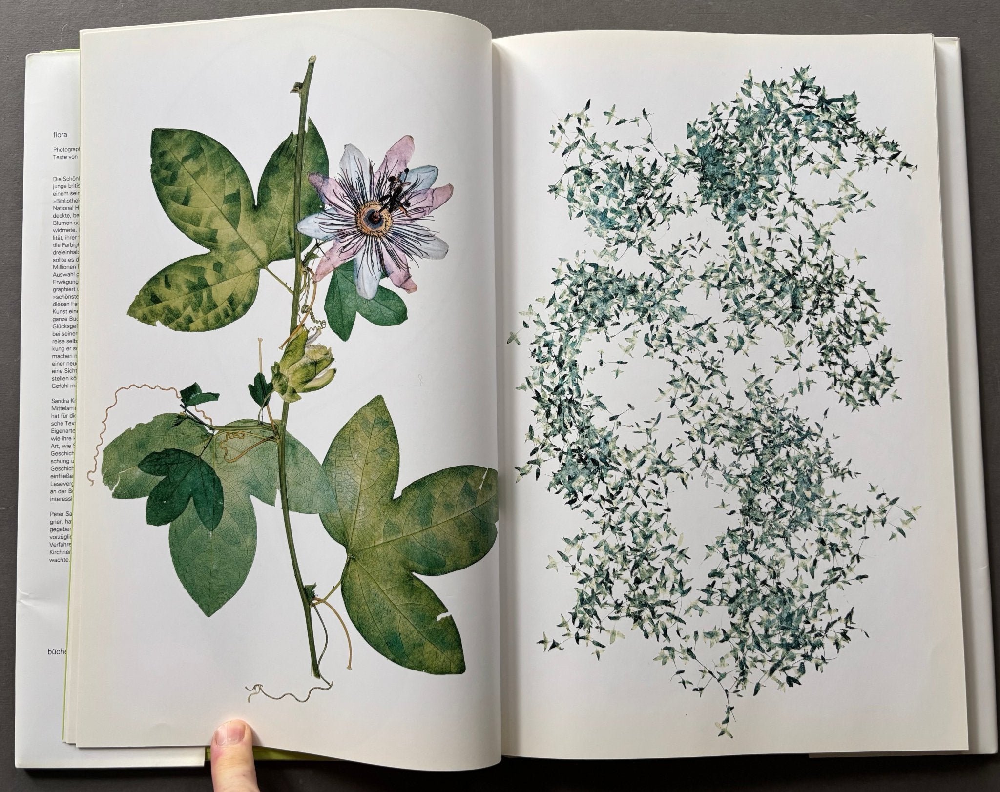 buy Flora by Nick Knight online. – Setanta Books