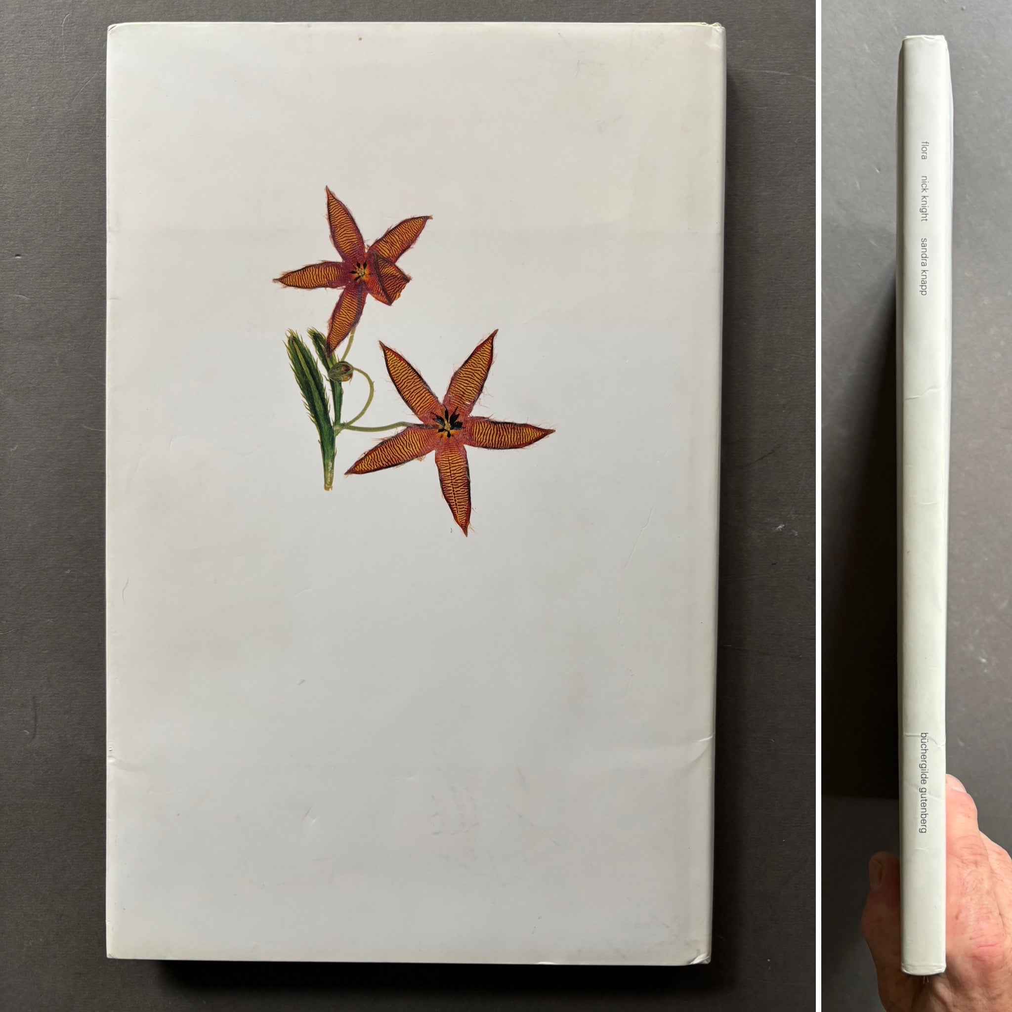 buy Flora by Nick Knight online. – Setanta Books