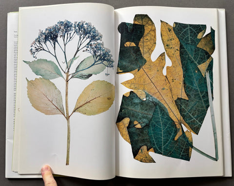 Flora - Setanta Books