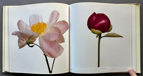 Flowers - Setanta Books