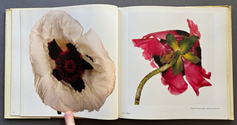 Flowers - Setanta Books