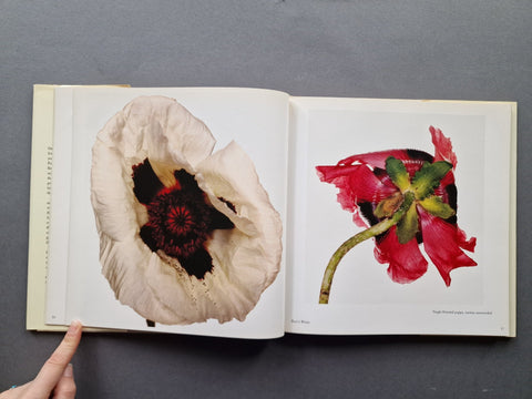 Flowers - Setanta Books