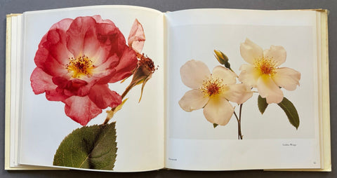 Flowers - Setanta Books