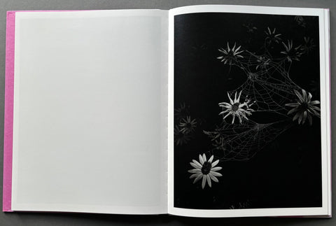 Flowers Drink the River - Setanta Books