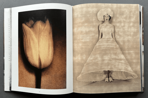 Form And Fashion - Setanta Books