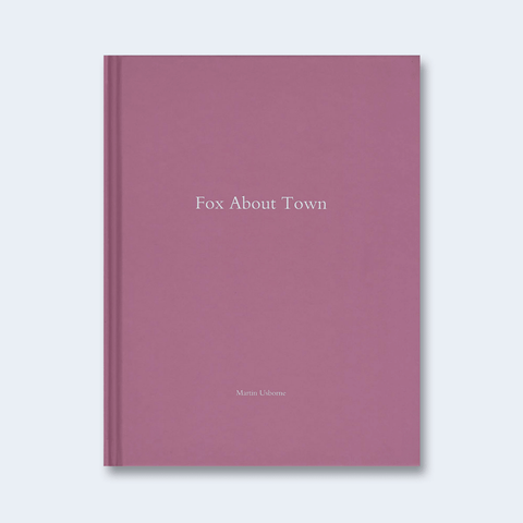Fox about Town (One Picture Book)