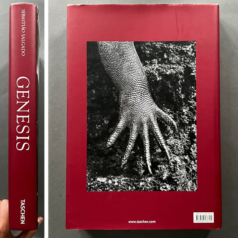 Genesis - Setanta Books
