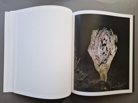 Geomancy - Setanta Books