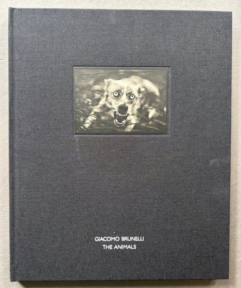 Giacomo-Brunelli-The-Animals-Setanta-Books
