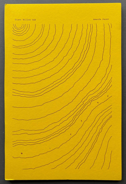 Giant Willow Oak - Setanta Books