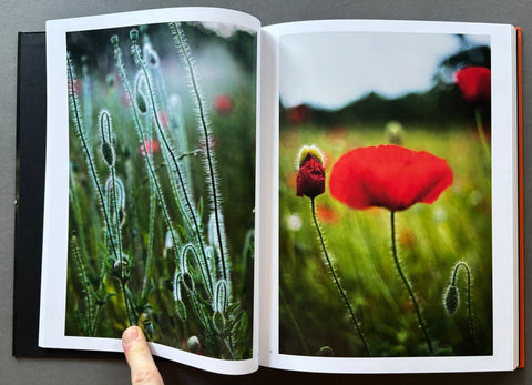Giverny: A Year In The Garden - Setanta Books