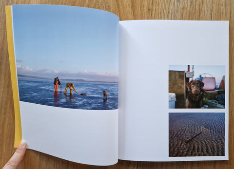 Going To The Sand - Setanta Books