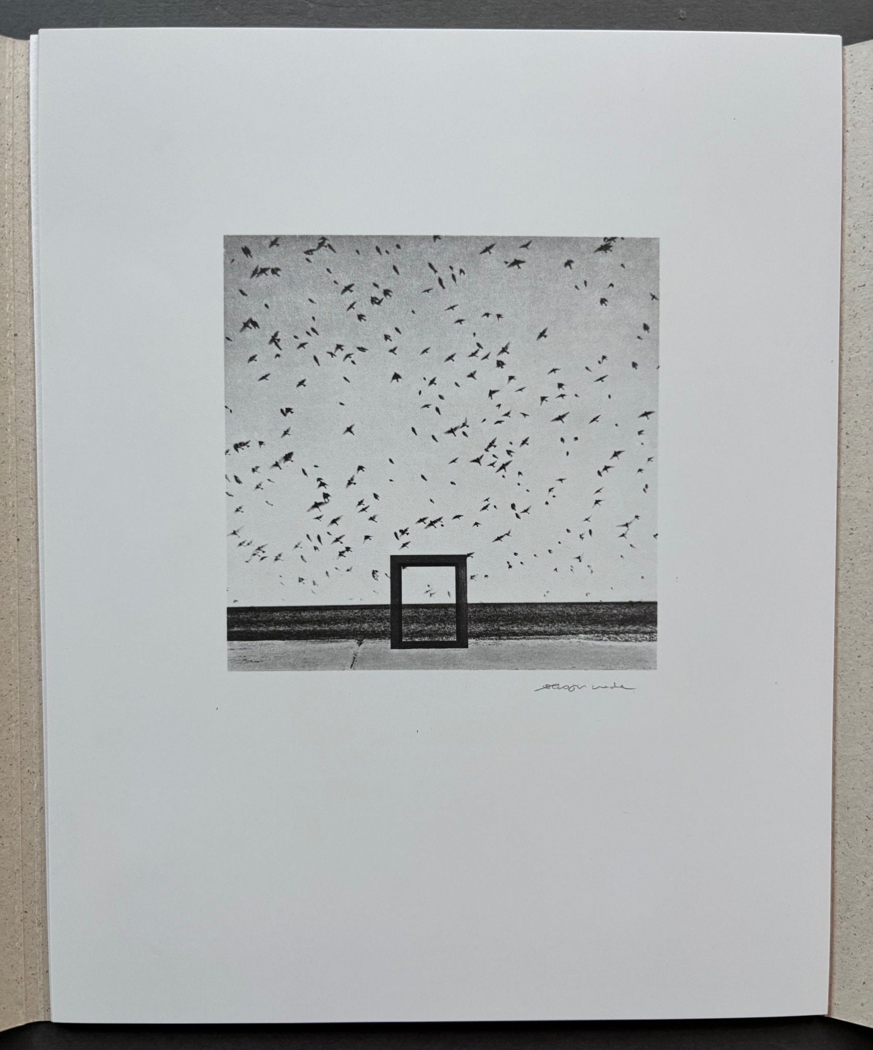 Buy Gone Are The Days by Shoji Ueda – Setanta Books