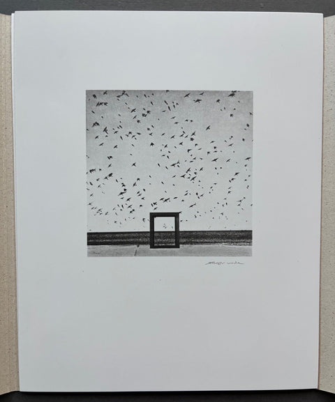 Gone Are The Days - Setanta Books