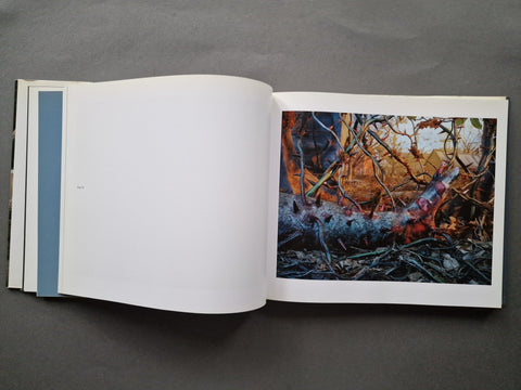 Gregory Crewdson: 1985 - 2005 - Setanta Books