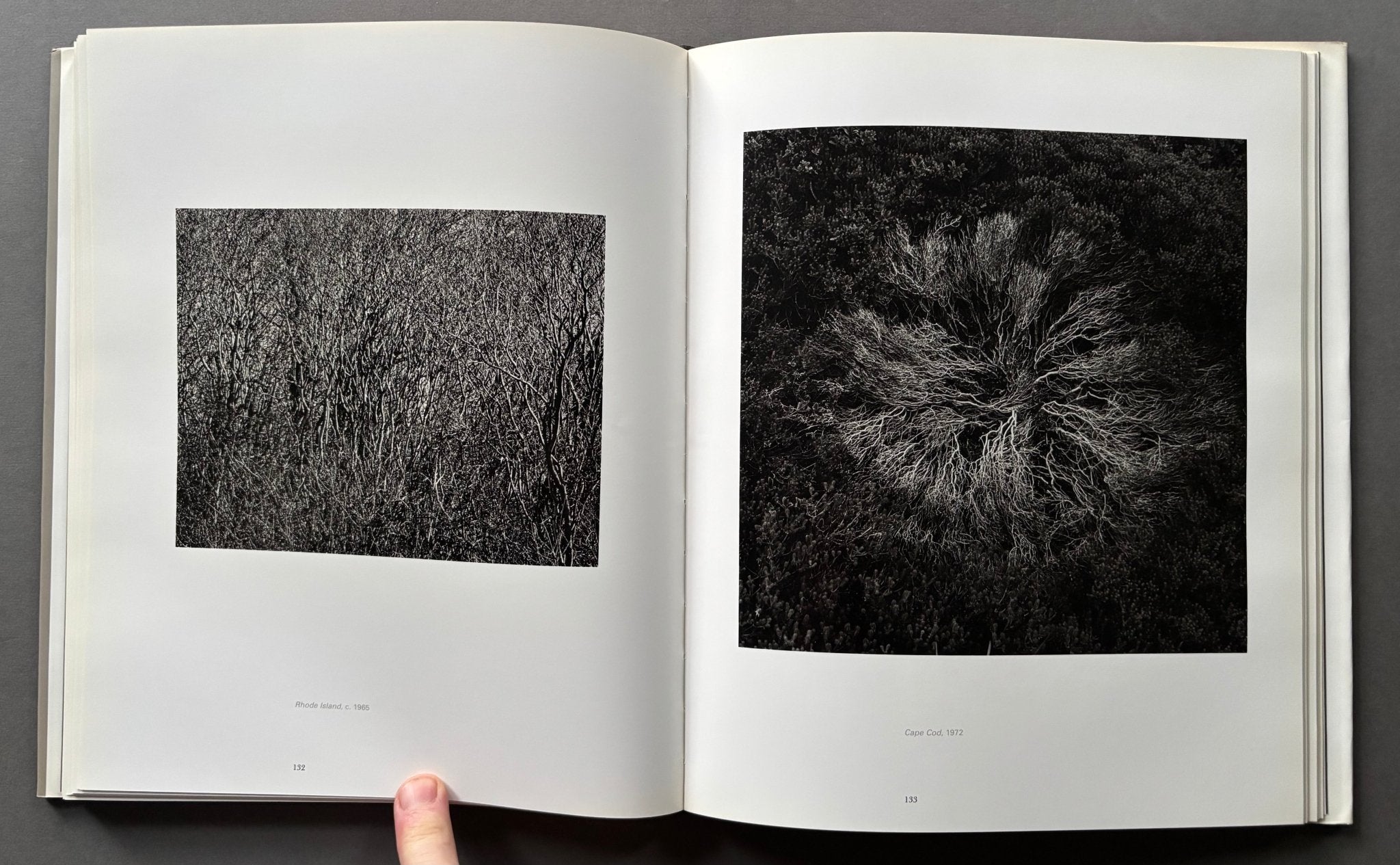 Buy Harry Callahan by Sarah Greenough – Setanta Books