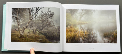 Healing - Setanta Books