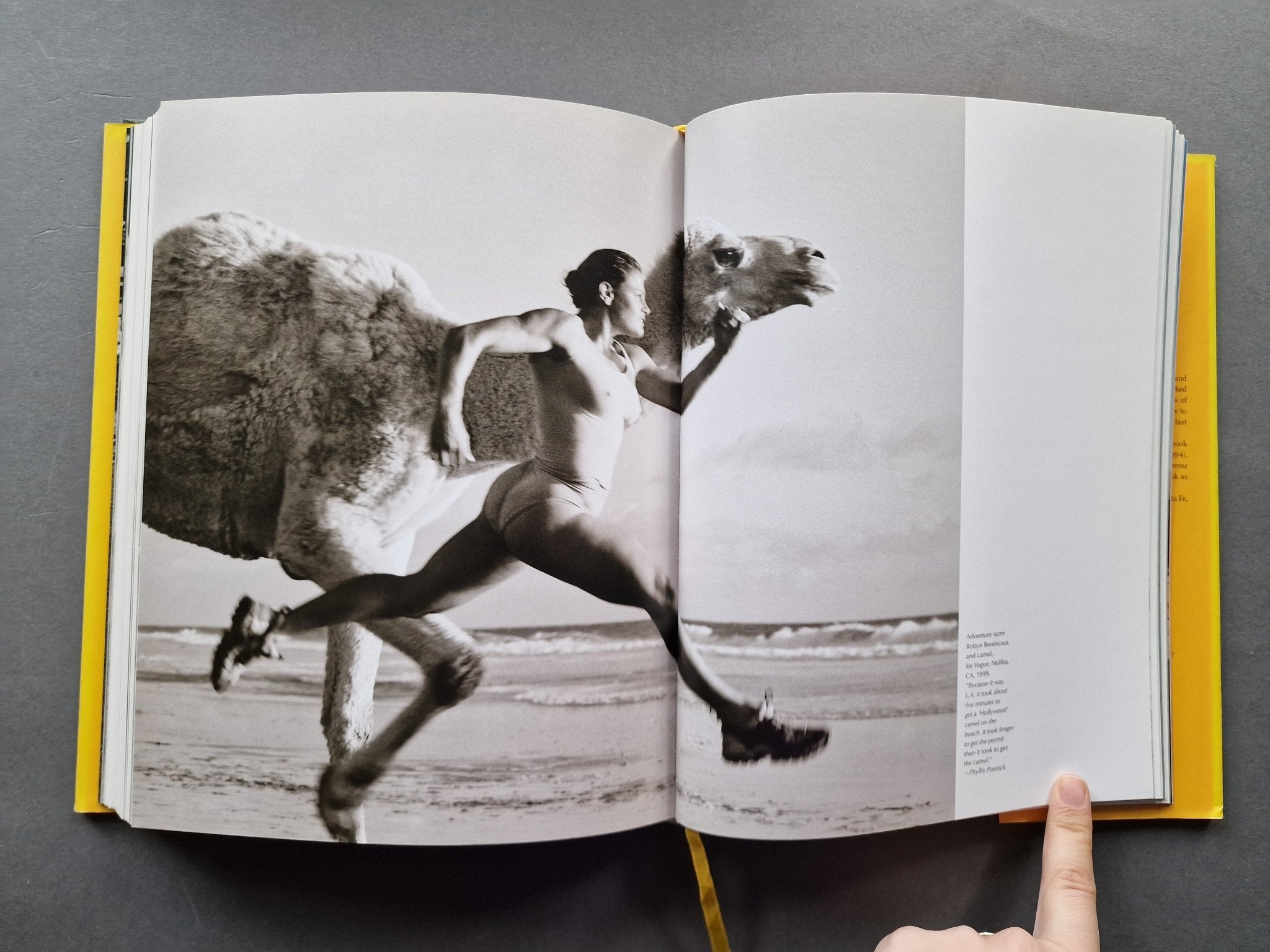 Buy Herb Ritts - The Golden Hour: A Photographer's Life and His