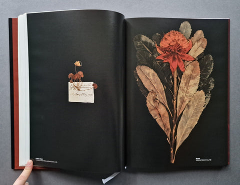 Herbrarium - Setanta Books