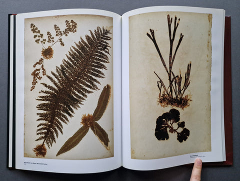 Herbrarium - Setanta Books