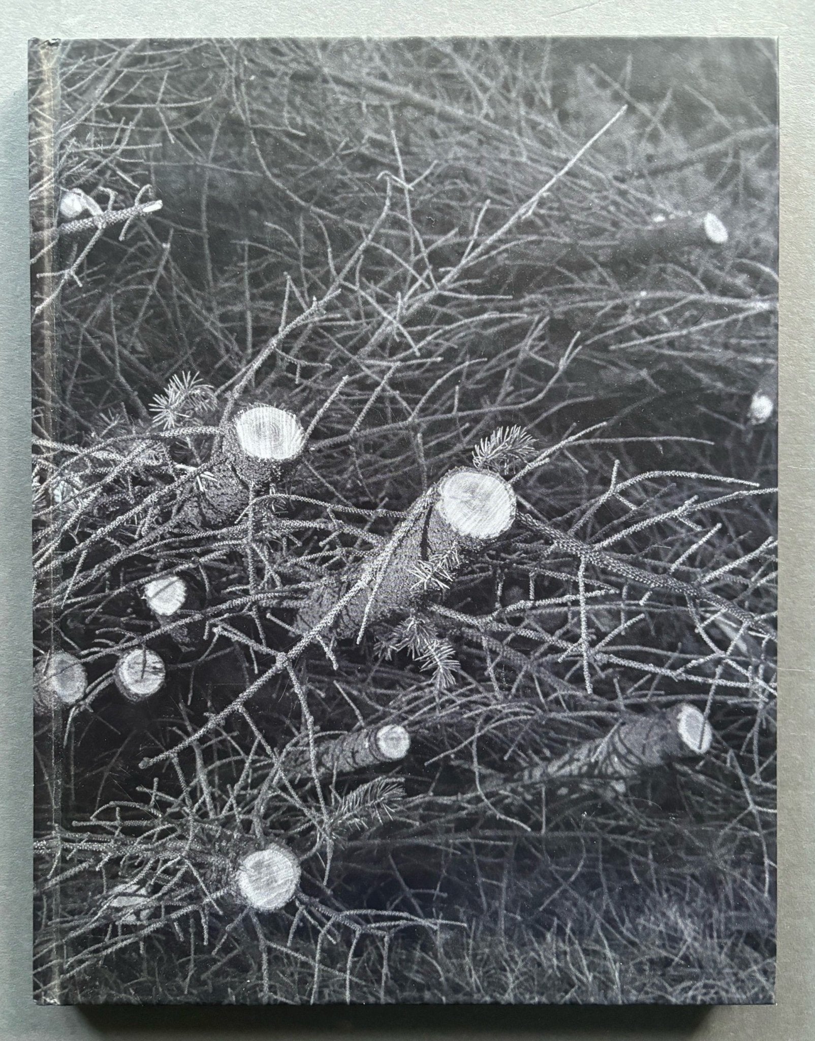 アート・デザイン・音楽 Daniel Reuter History Of The Visit Buy History Of The Visit by Daniel Reuter – Setanta Books