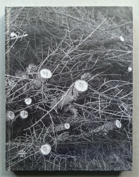 History Of The Visit - Setanta Books