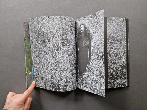 Hoja Santa - Setanta Books