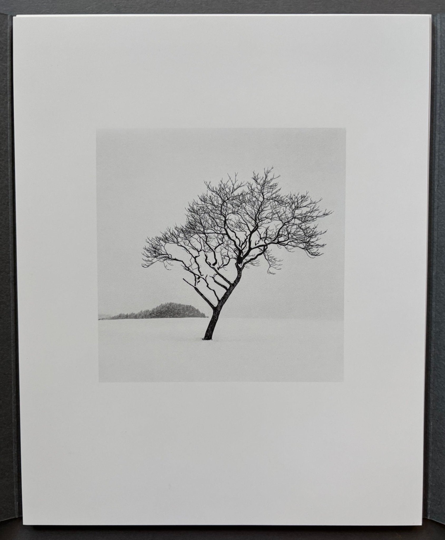 Buy Hokkaido 2020 by Michael Kenna – Setanta Books