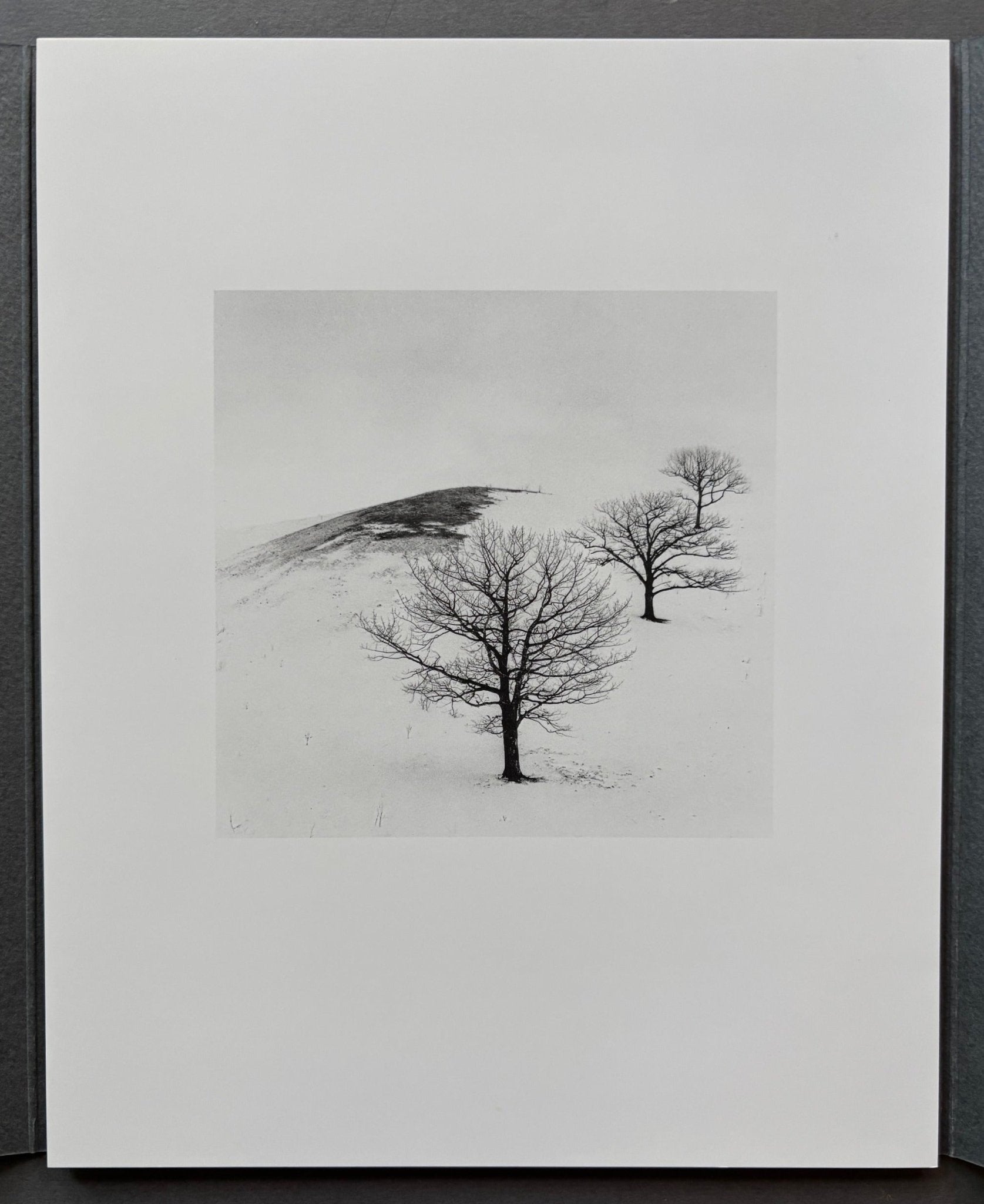 Buy Hokkaido 2020 by Michael Kenna – Setanta Books