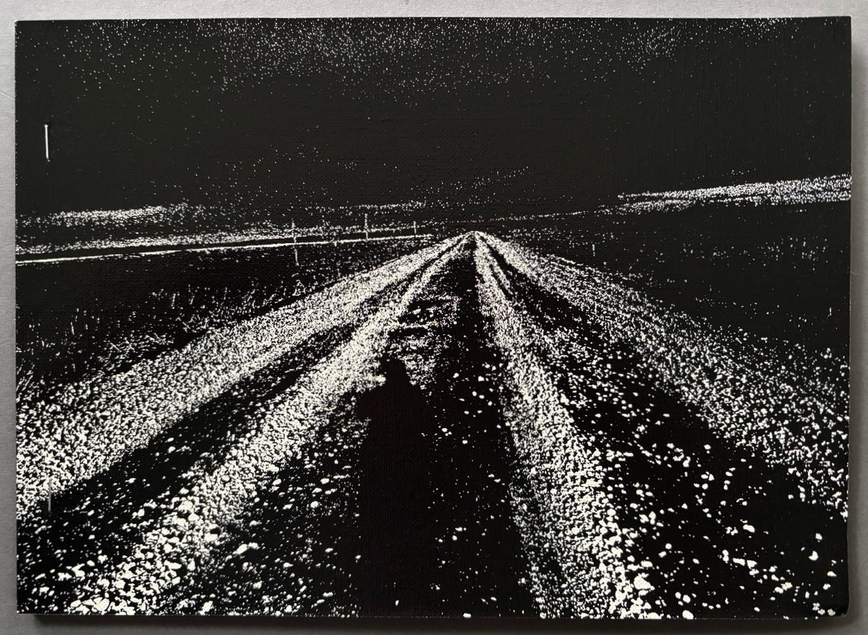 Buy Hokkaido by Daido Moriyama – Setanta Books