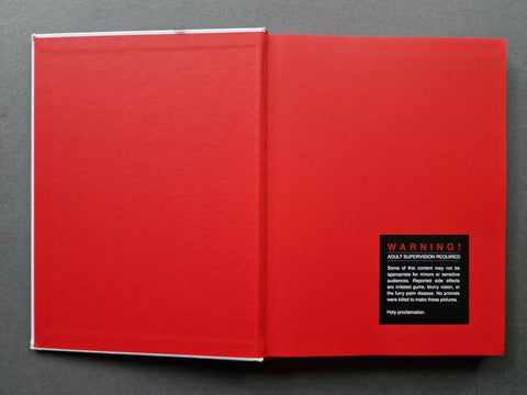 Holy - Setanta Books