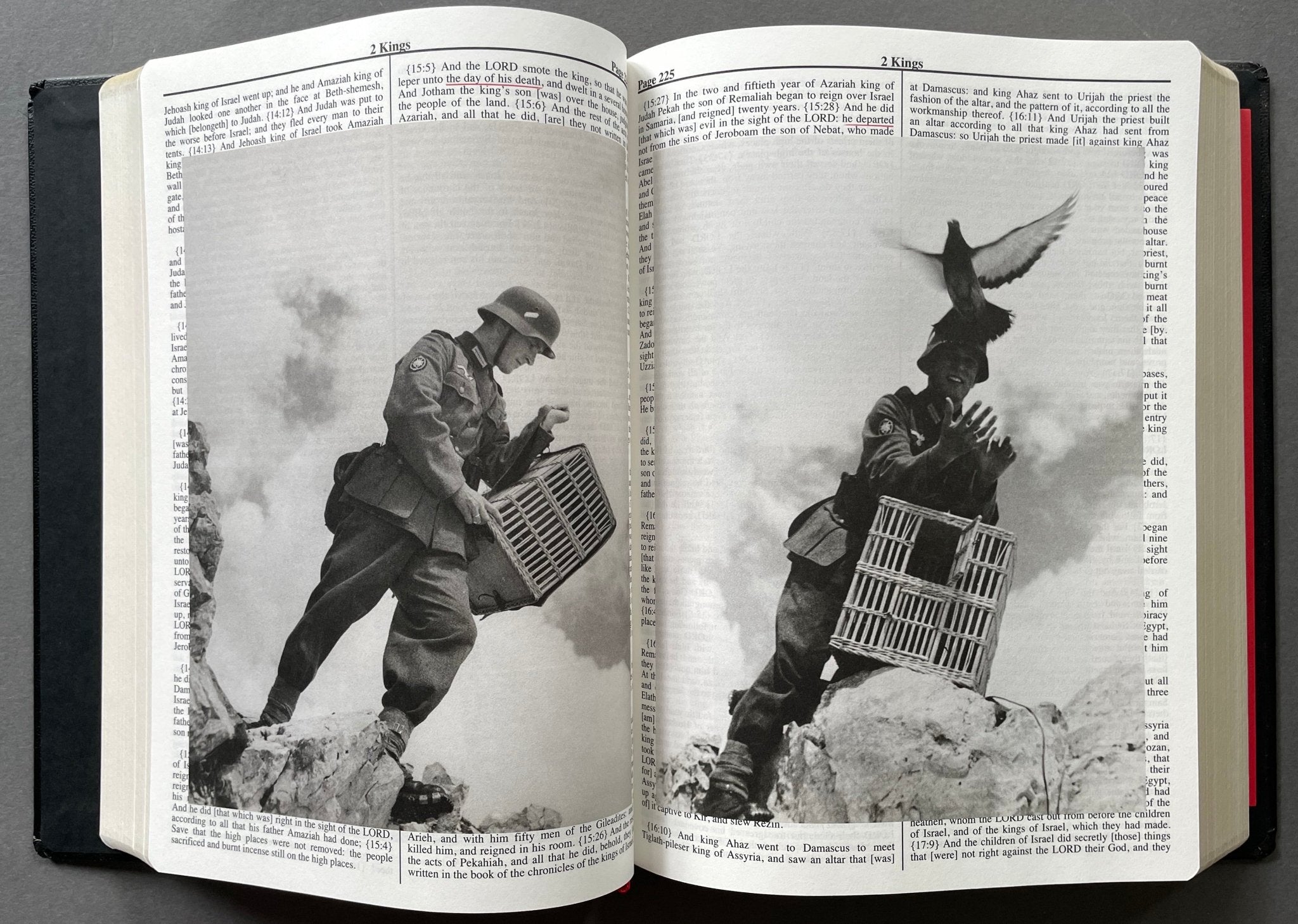 Buy Holy Bible by Adam Broomberg and Oliver Chanarin Online
