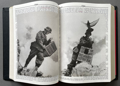 Holy Bible - Setanta Books