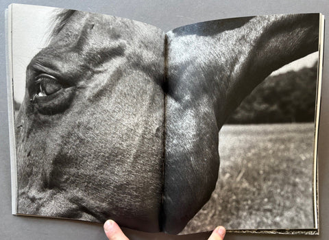 Horses - Setanta Books