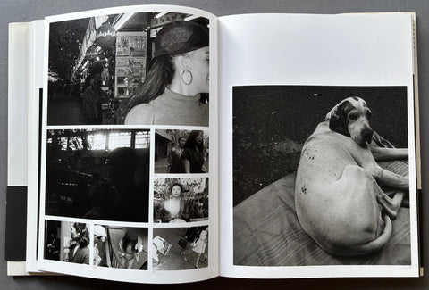 Human Memory - Setanta Books