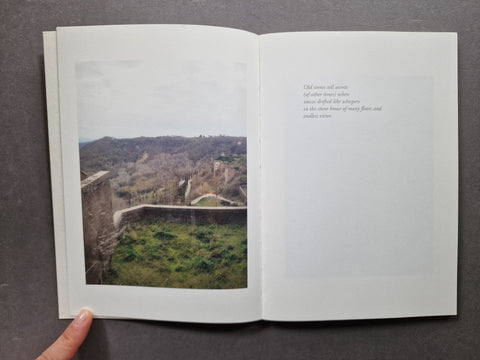 I NEVER KNEW CY TWOMBLY: Bassano in Teverina