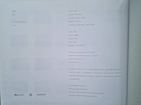 Impermanent Instant - Setanta Books
