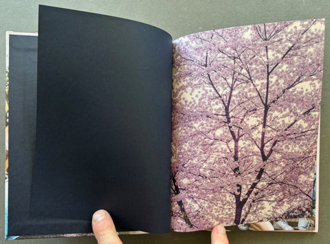 In South Korea - Setanta Books