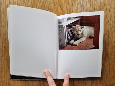 In The Vicinity - Setanta Books