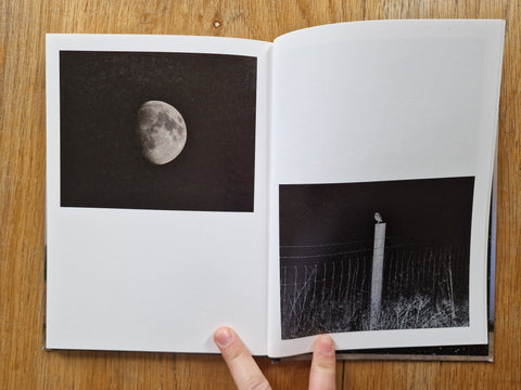 In The Vicinity - Setanta Books