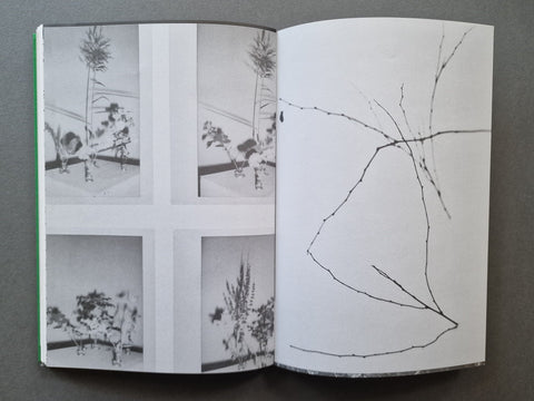 Index Naturae Revisited - AAVV - Setanta Books