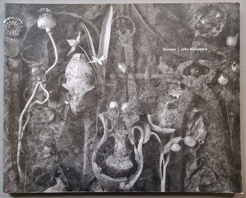 Inscape - Setanta Books