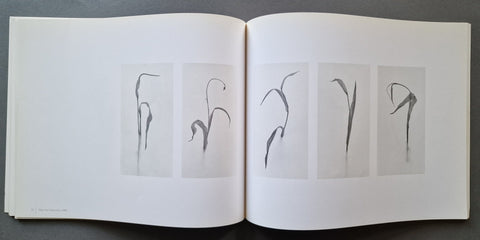 Inscape - Setanta Books