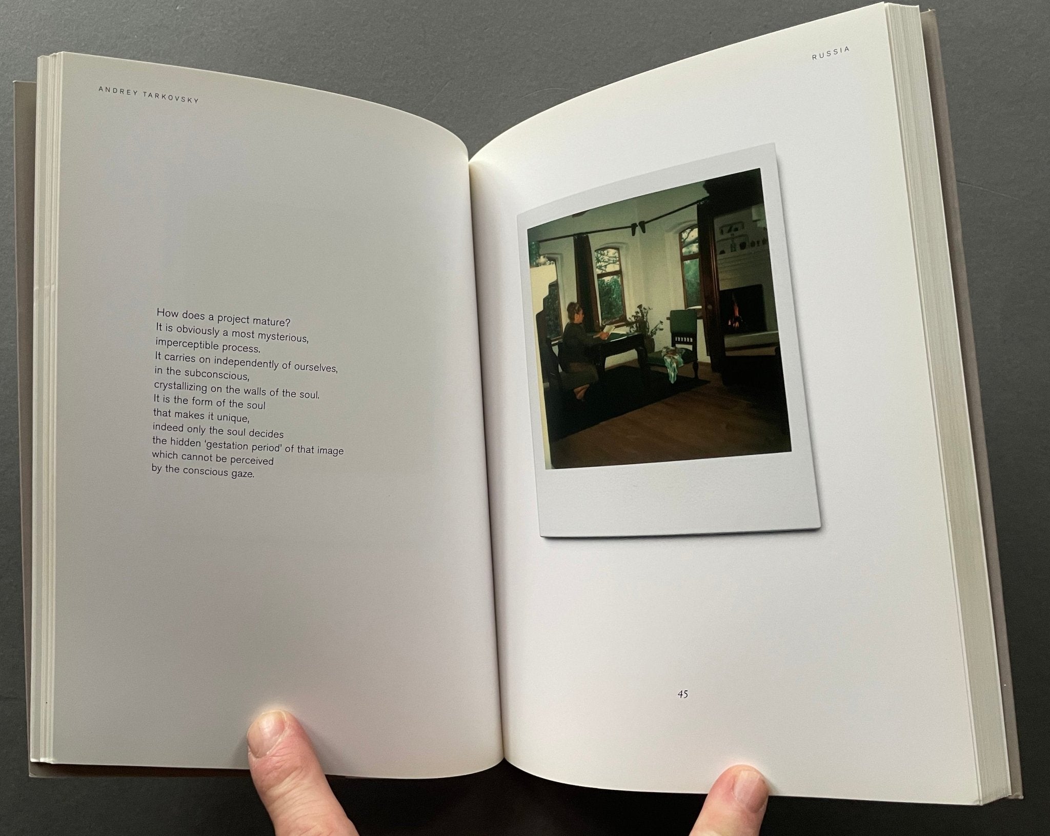 Buy Instant Light Tarkosvky Polaroids by Andrey photography book