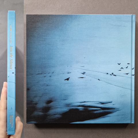 Into the Silence - Setanta Books
