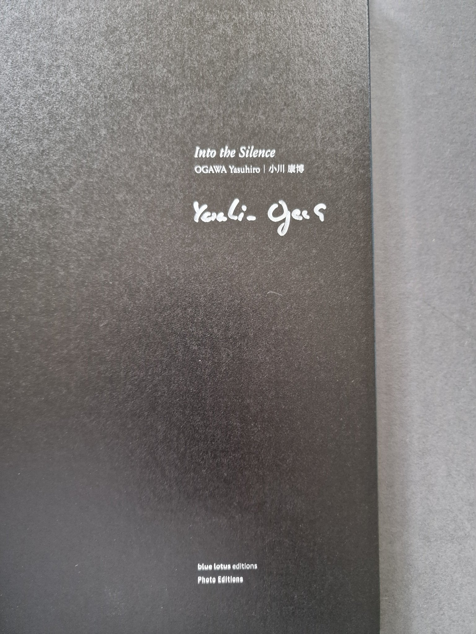 Buy Into the Silence by Yasuhiro Ogawa Online – Setanta Books
