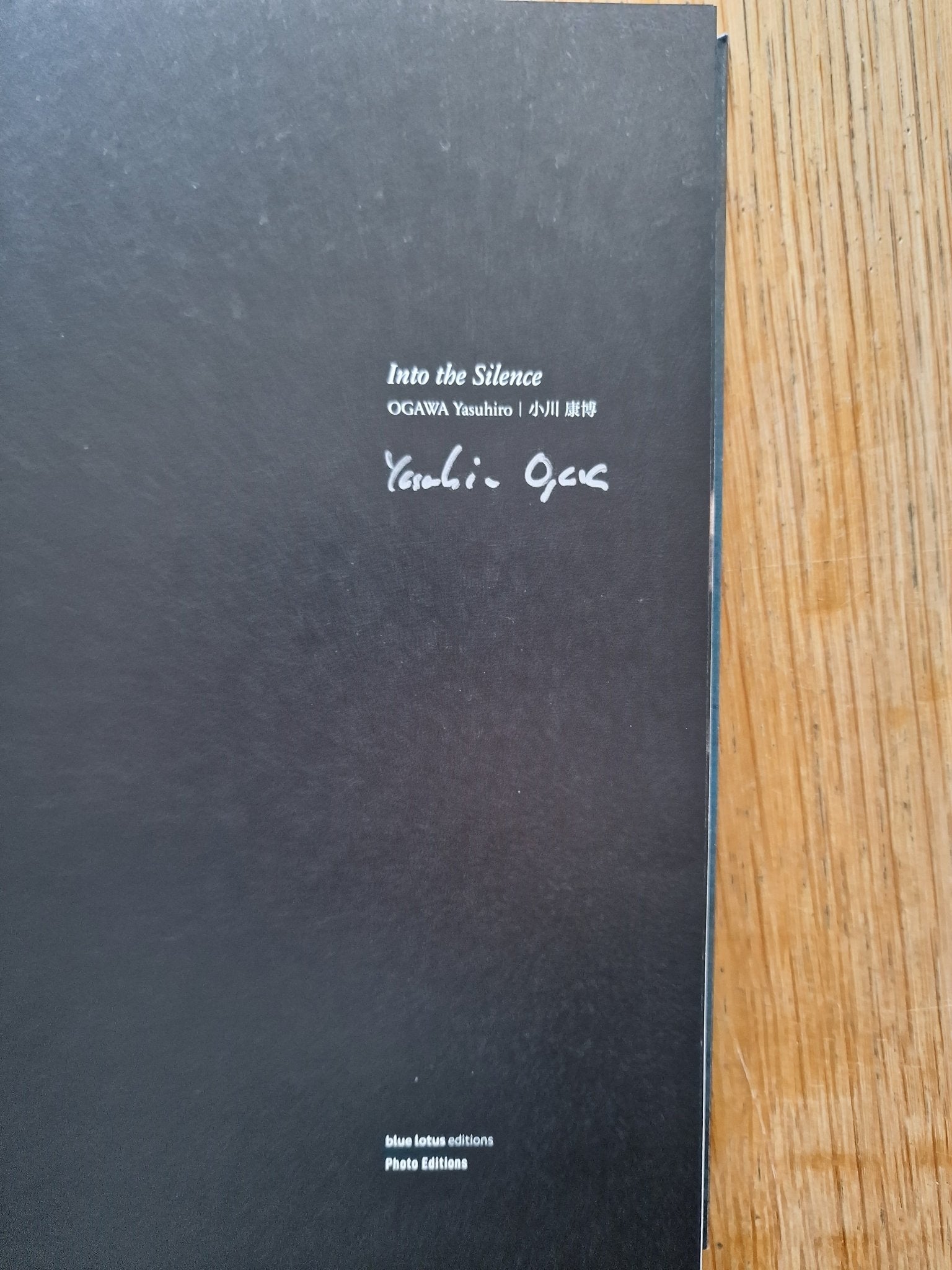 Buy Into the Silence by Yasuhiro Ogawa Online – Setanta Books