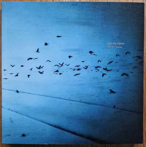 Into the Silence - Setanta Books